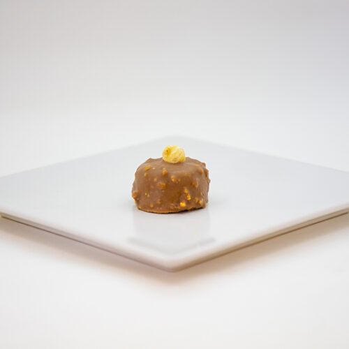 Rocher1 Rocher1